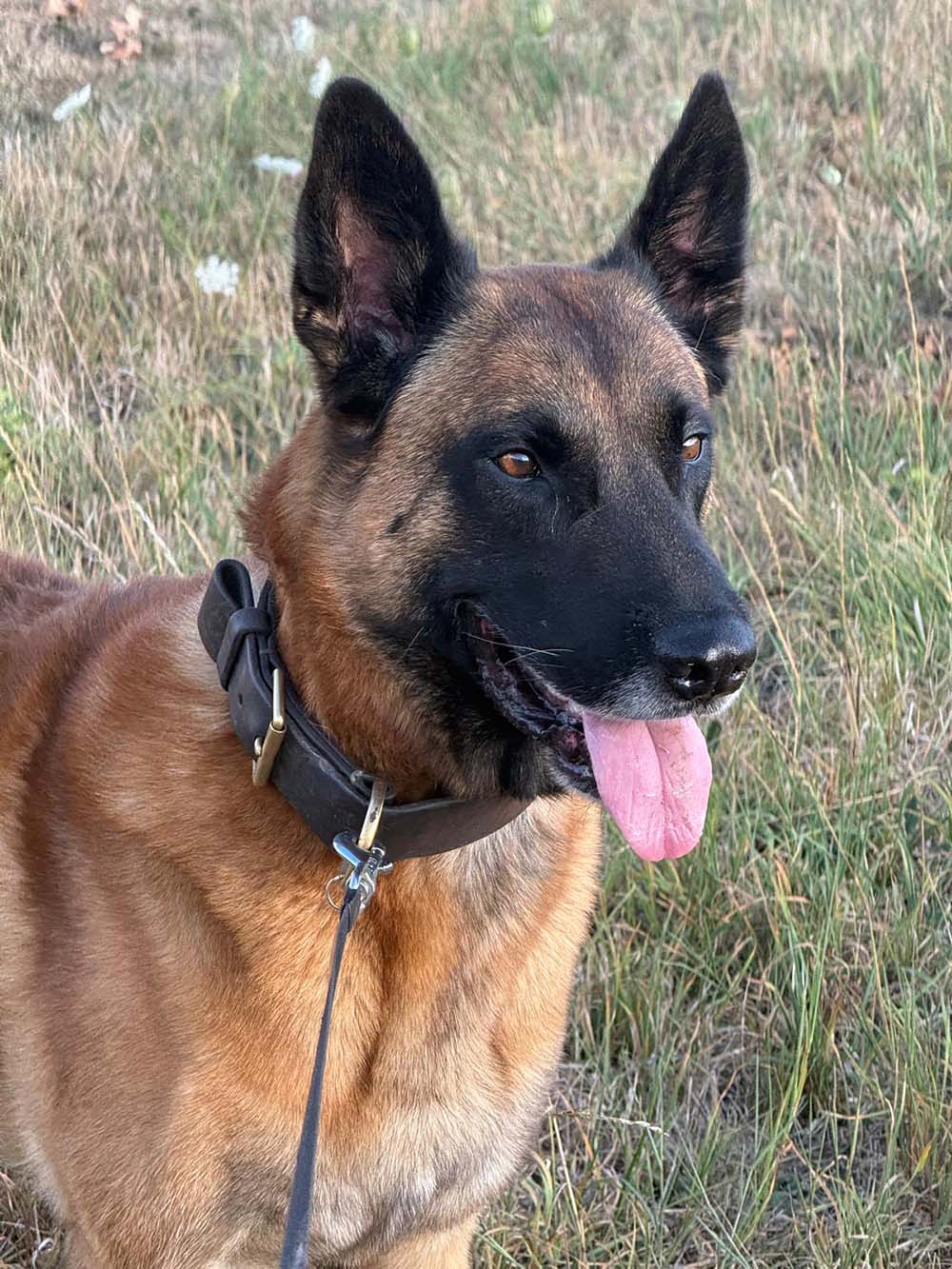 Ajax