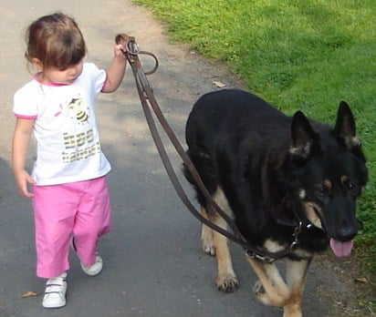 Child walking dog