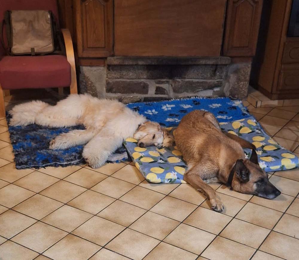 Diva and Lilibet