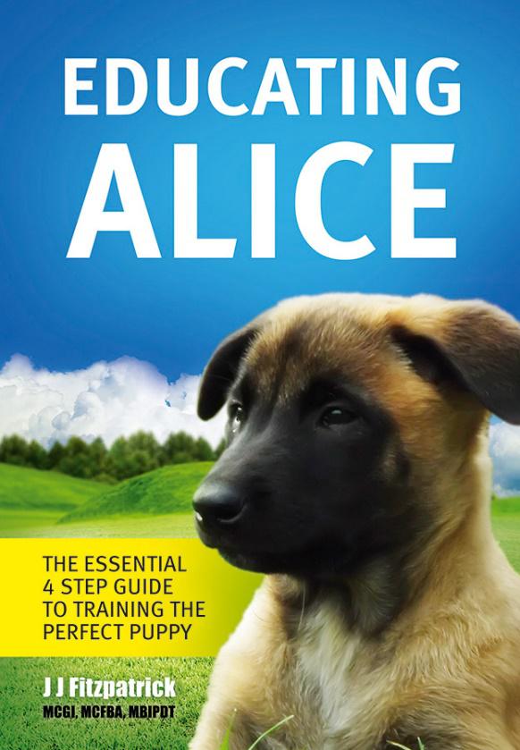 alice cover